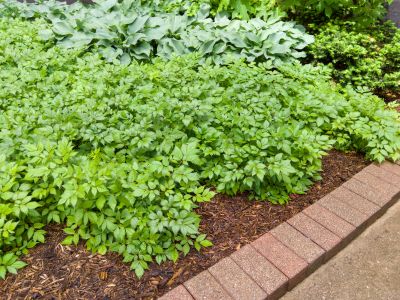 Brick Hardscape Construction in West Hartford, CT