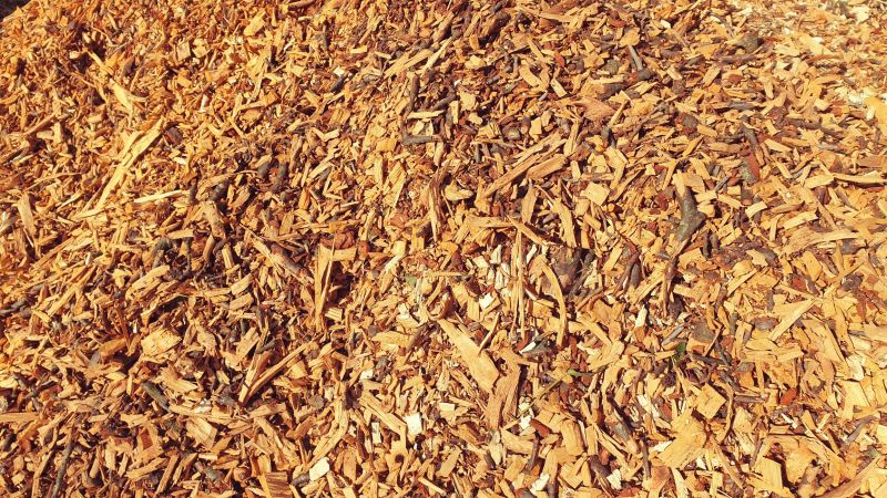 Wood Chip Installation